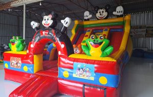 Şişme Oyun Parkı Mikiler