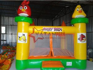 Şişme Angry Birdrs ZıpZIP