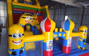 Şişme Oyun Parkı Minions